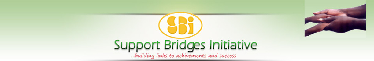 Support Bridges Initiative 11th Anniversary