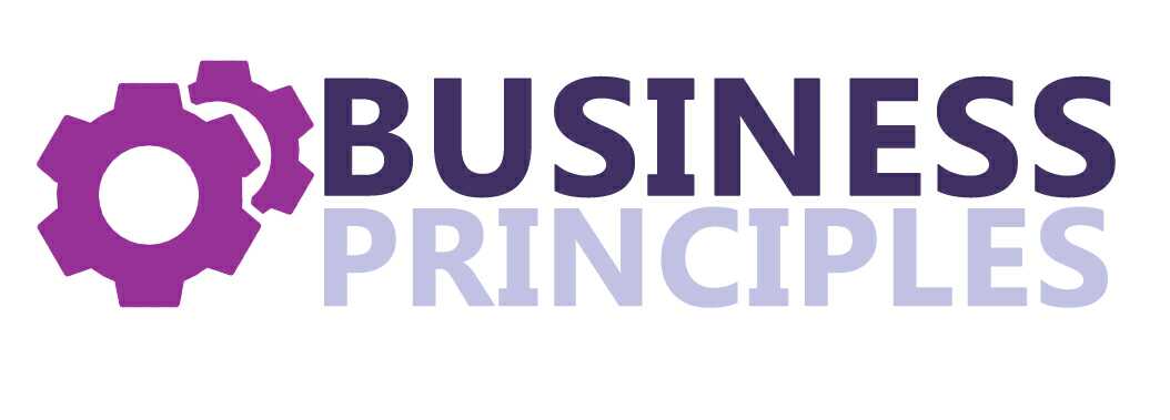 21st Century Business Principles for Survival & Profitability